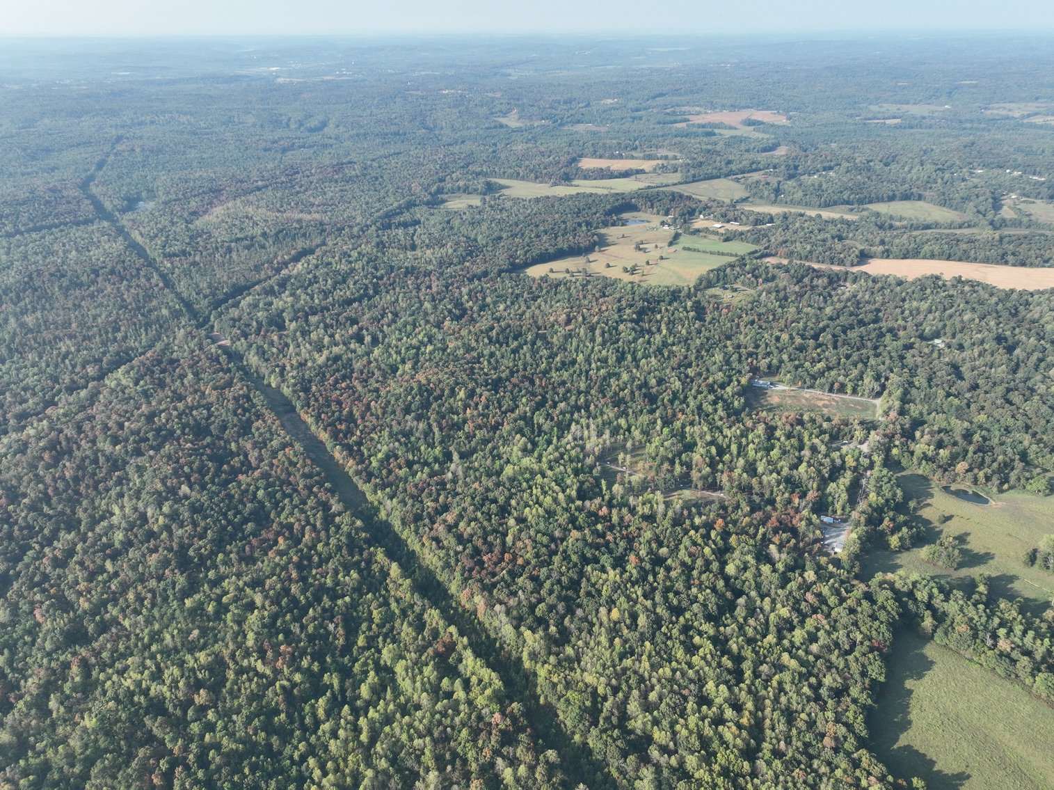 Image for Turnkey Luxury Game Preserve Auction