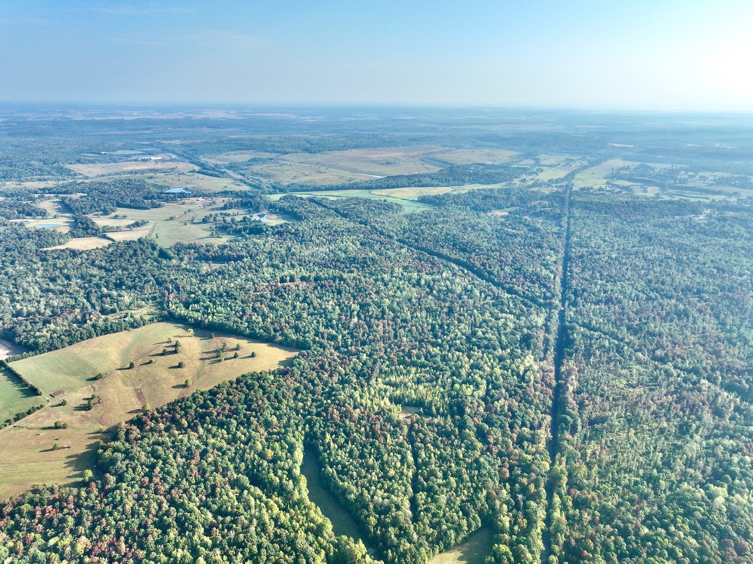 Image for Turnkey Luxury Game Preserve Auction