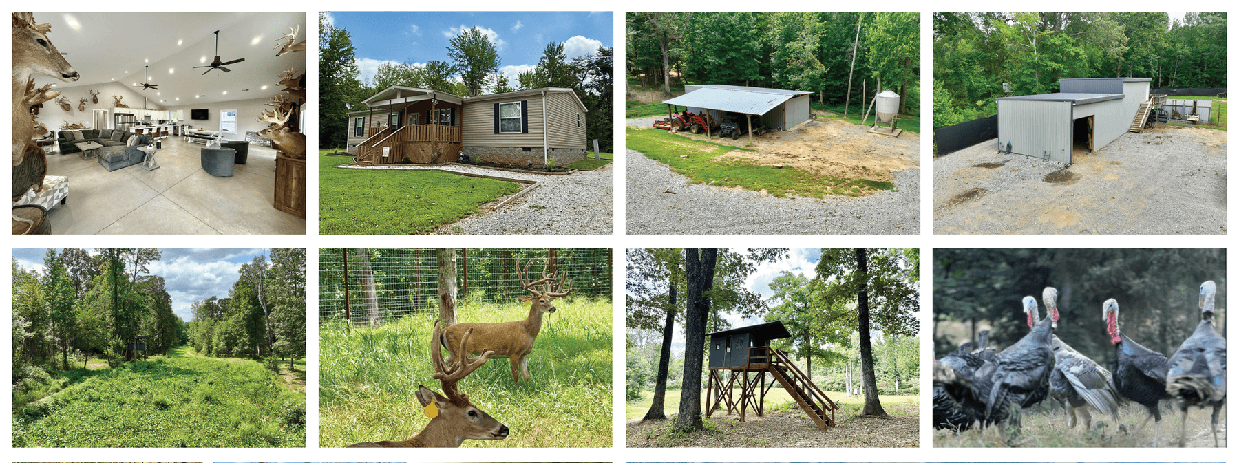 Image for Turnkey Luxury Game Preserve Auction