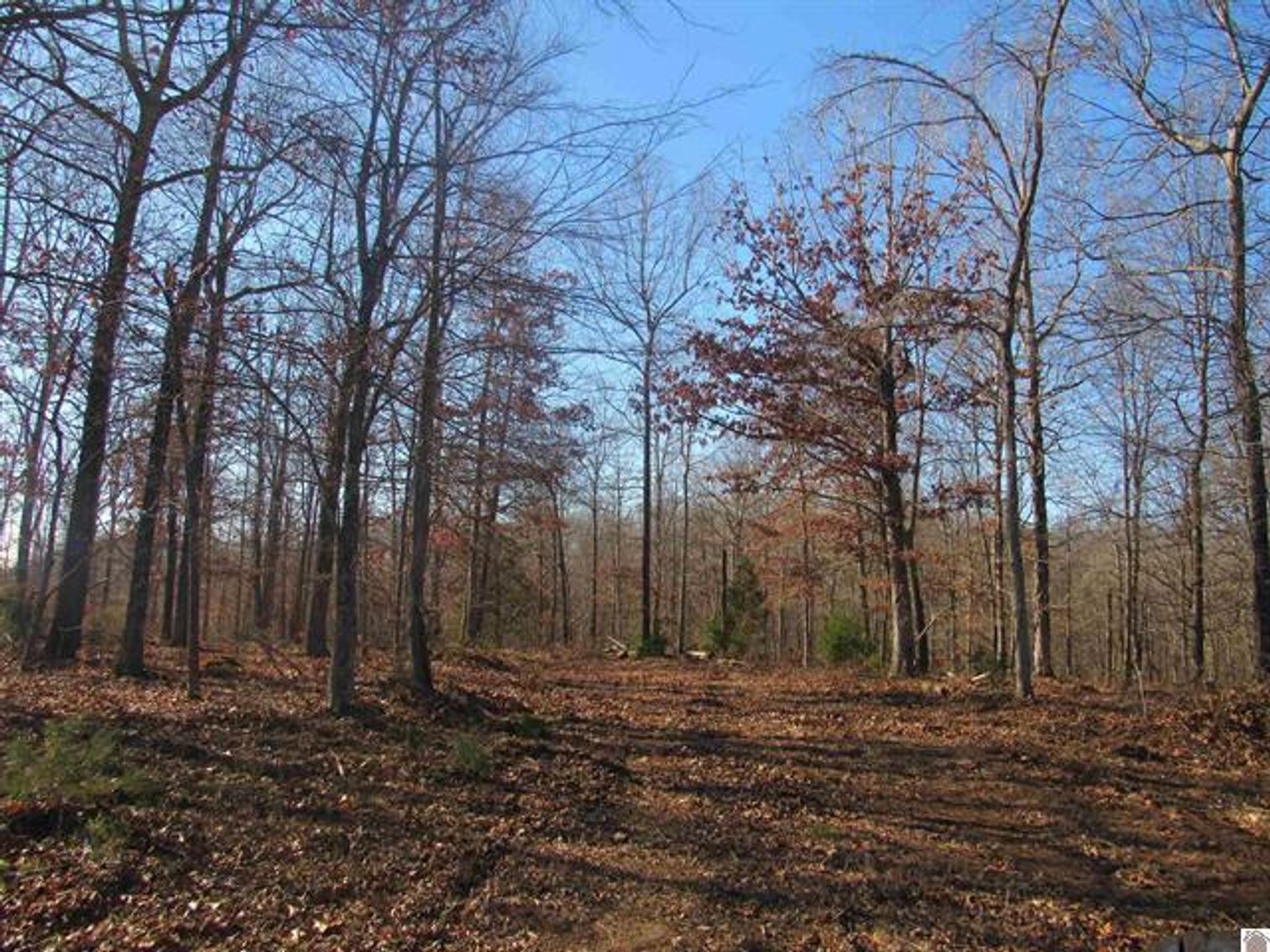 Image for 00 Cardwell Lane Cadiz, KY 42211