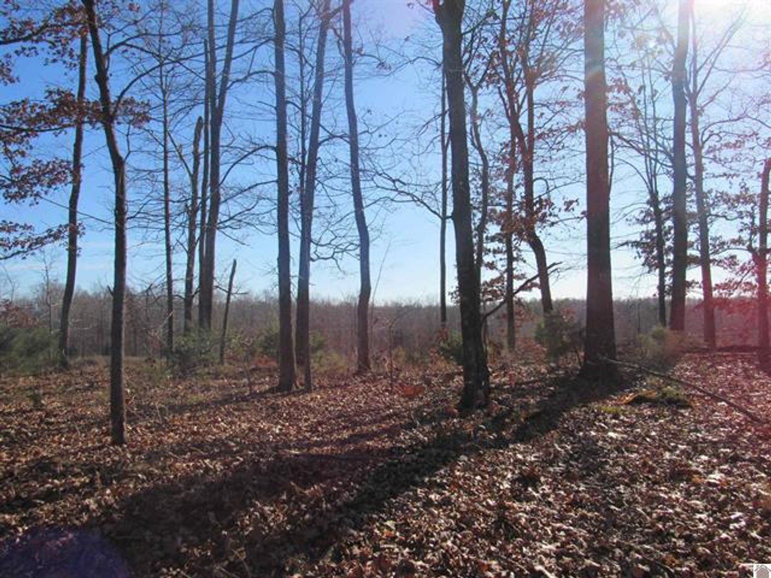Image for 00 Cardwell Lane Cadiz, KY 42211