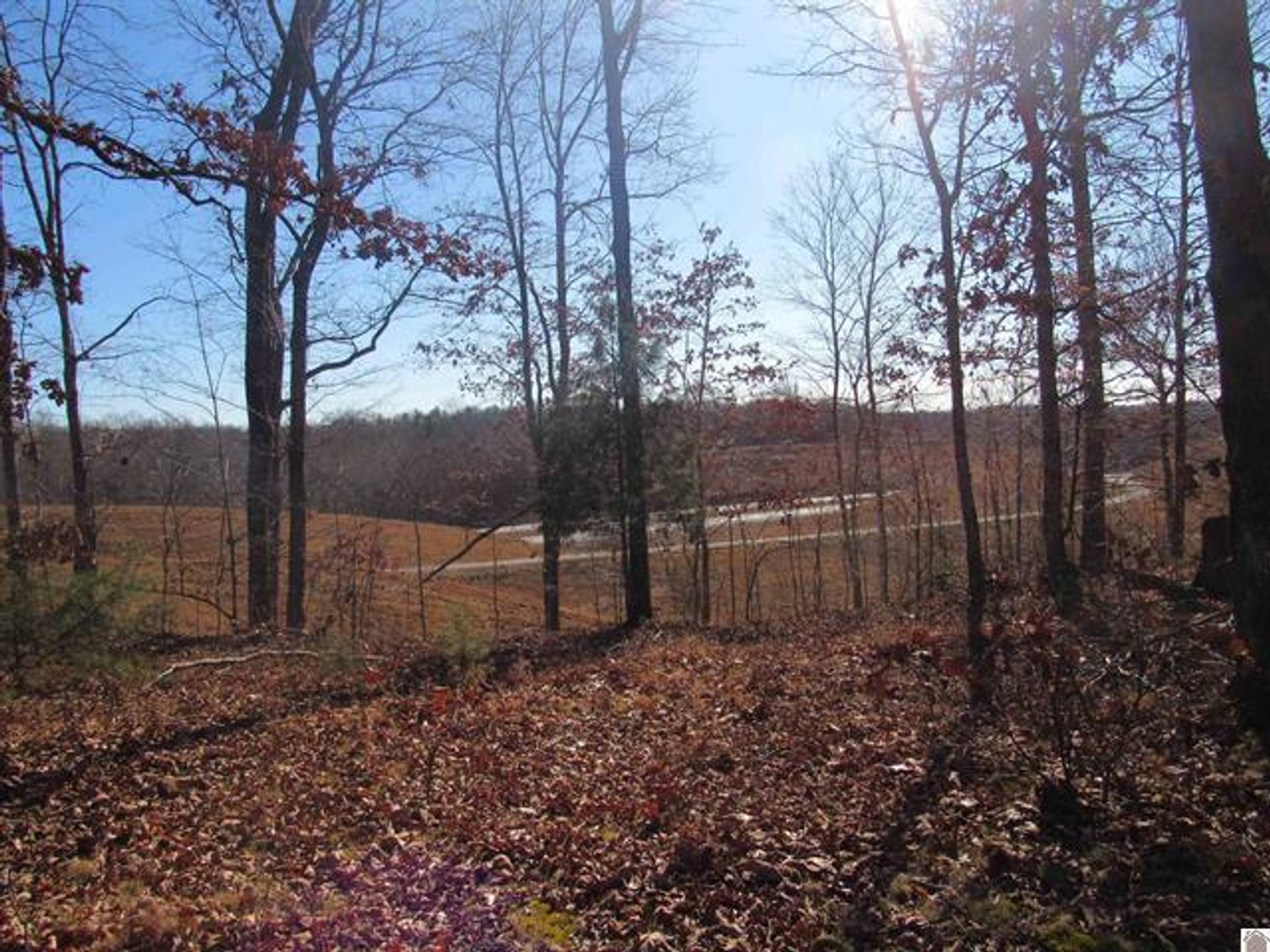 Image for 00 Cardwell Lane Cadiz, KY 42211