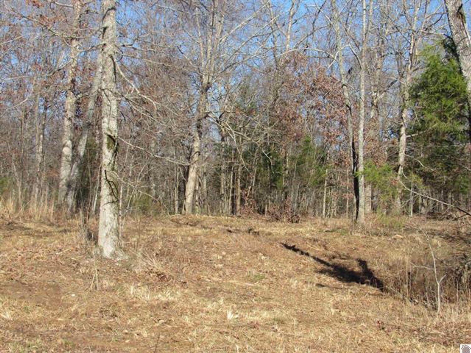 Image for 00 Cardwell Lane Cadiz, KY 42211