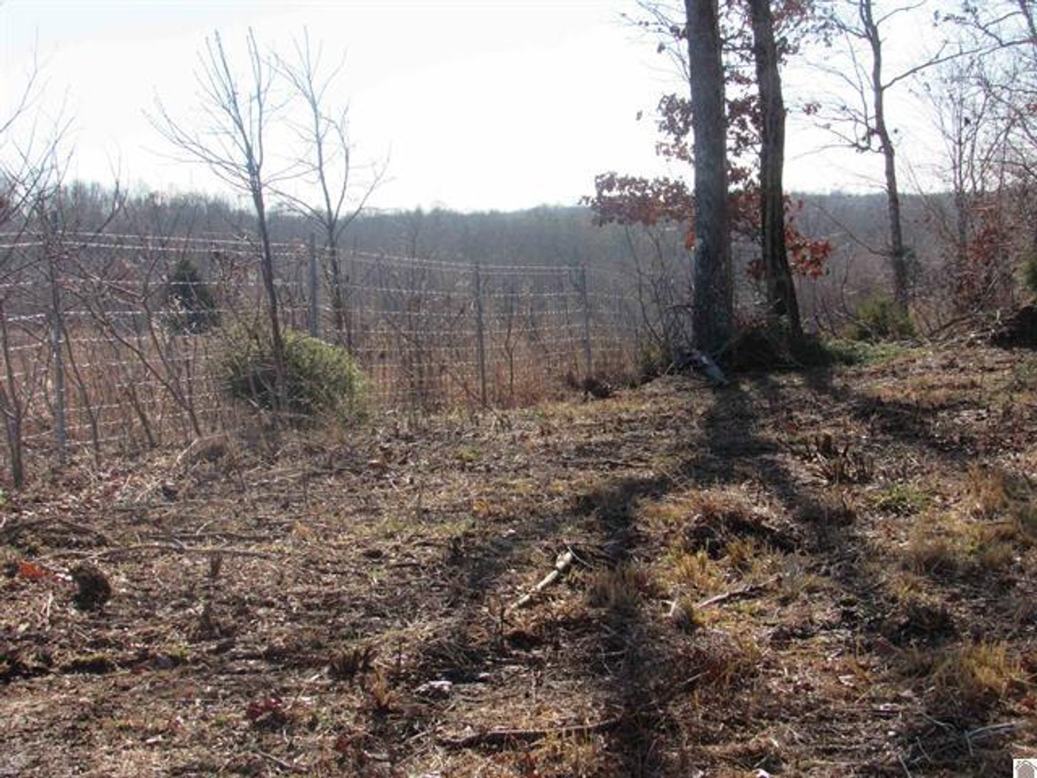 Image for 00 Cardwell Lane Cadiz, KY 42211