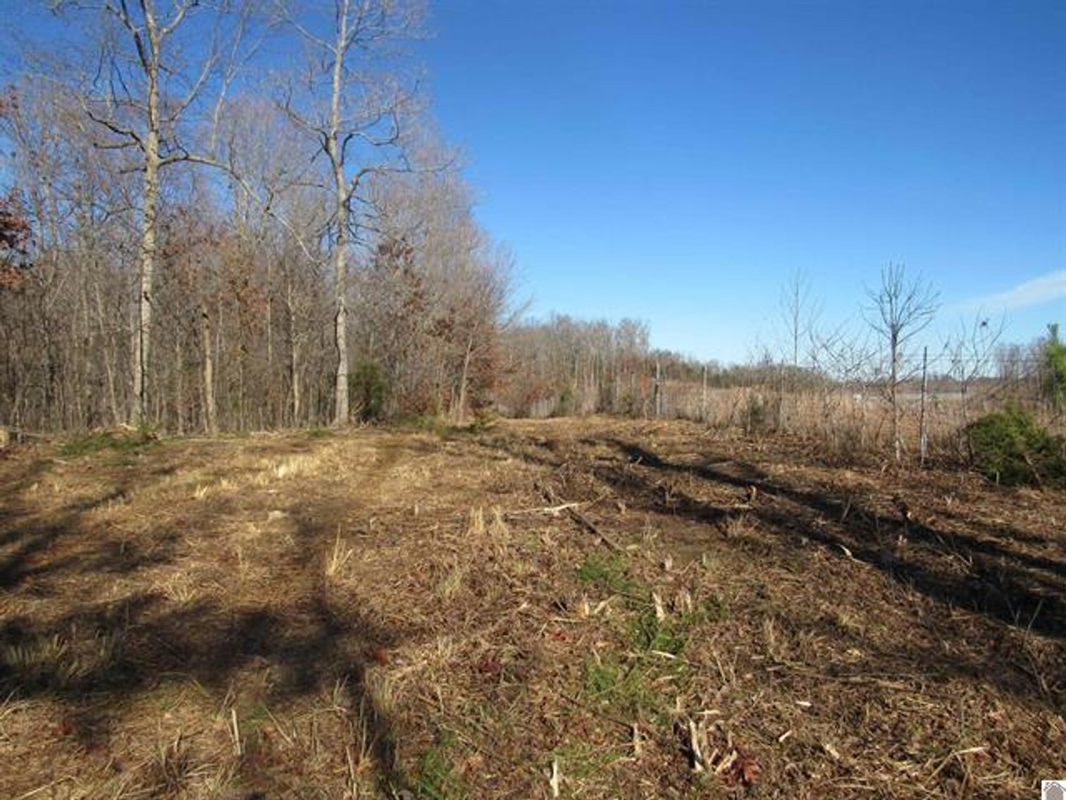 Image for 00 Cardwell Lane Cadiz, KY 42211