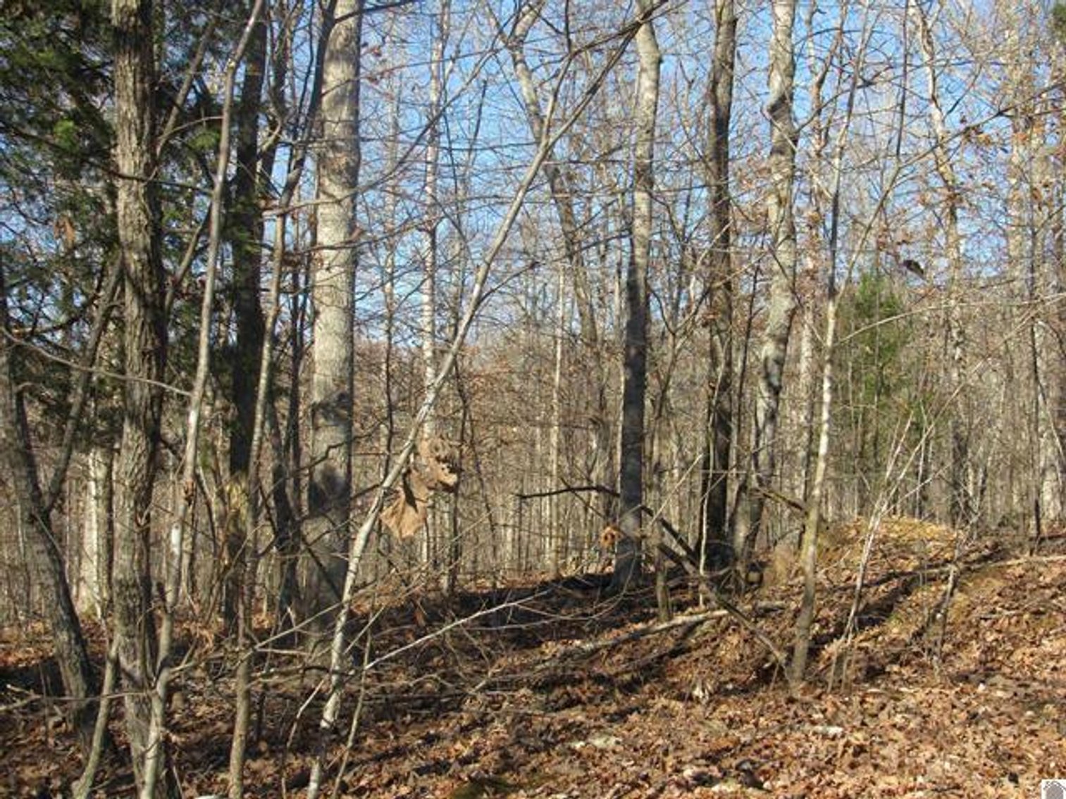 Image for 00 Cardwell Lane Cadiz, KY 42211