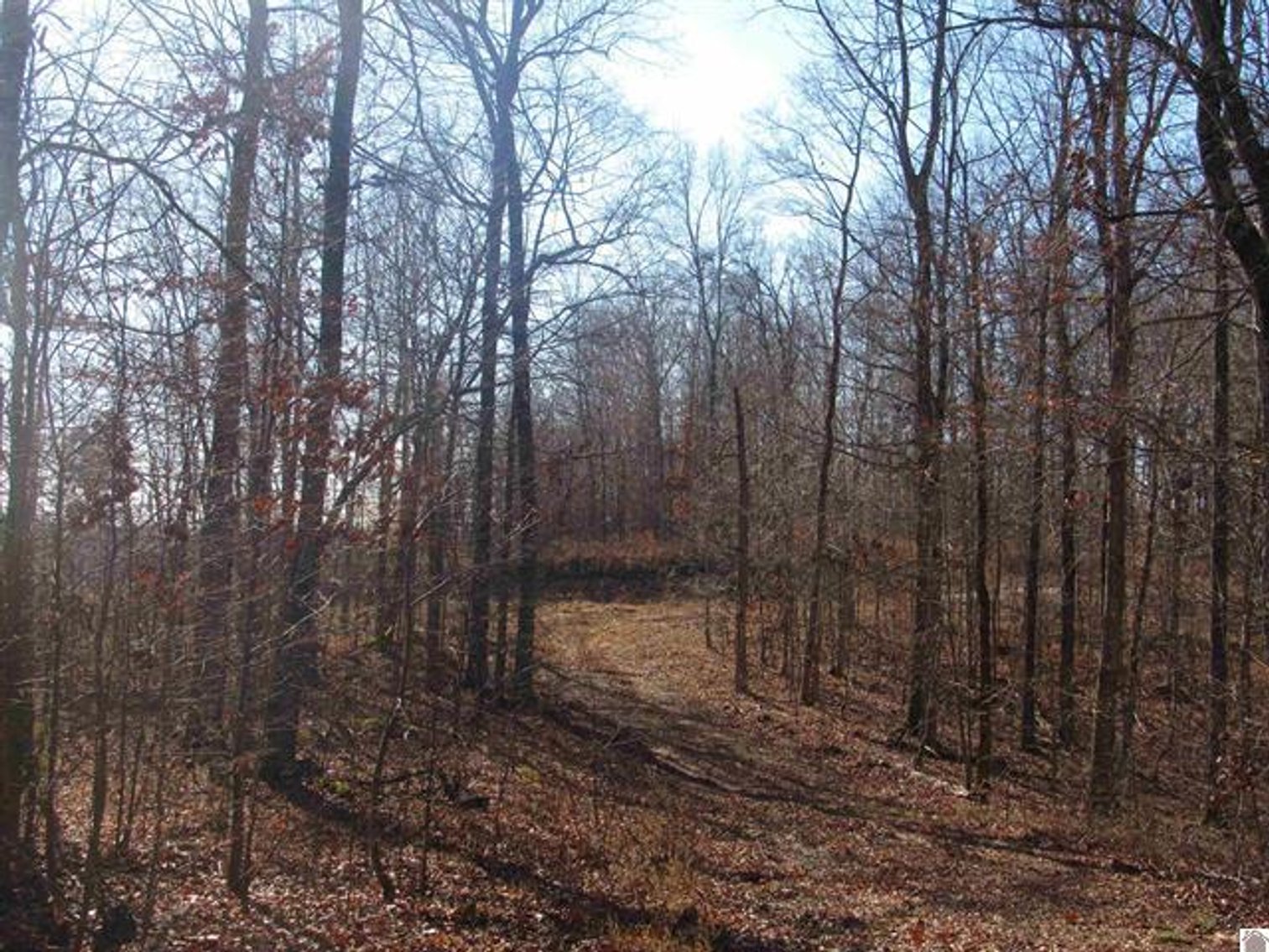 Image for 00 Cardwell Lane Cadiz, KY 42211