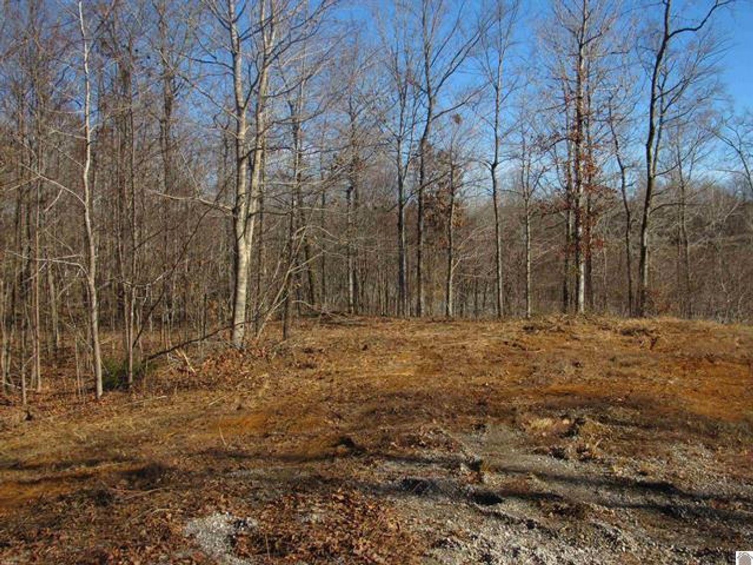 Image for 00 Cardwell Lane Cadiz, KY 42211