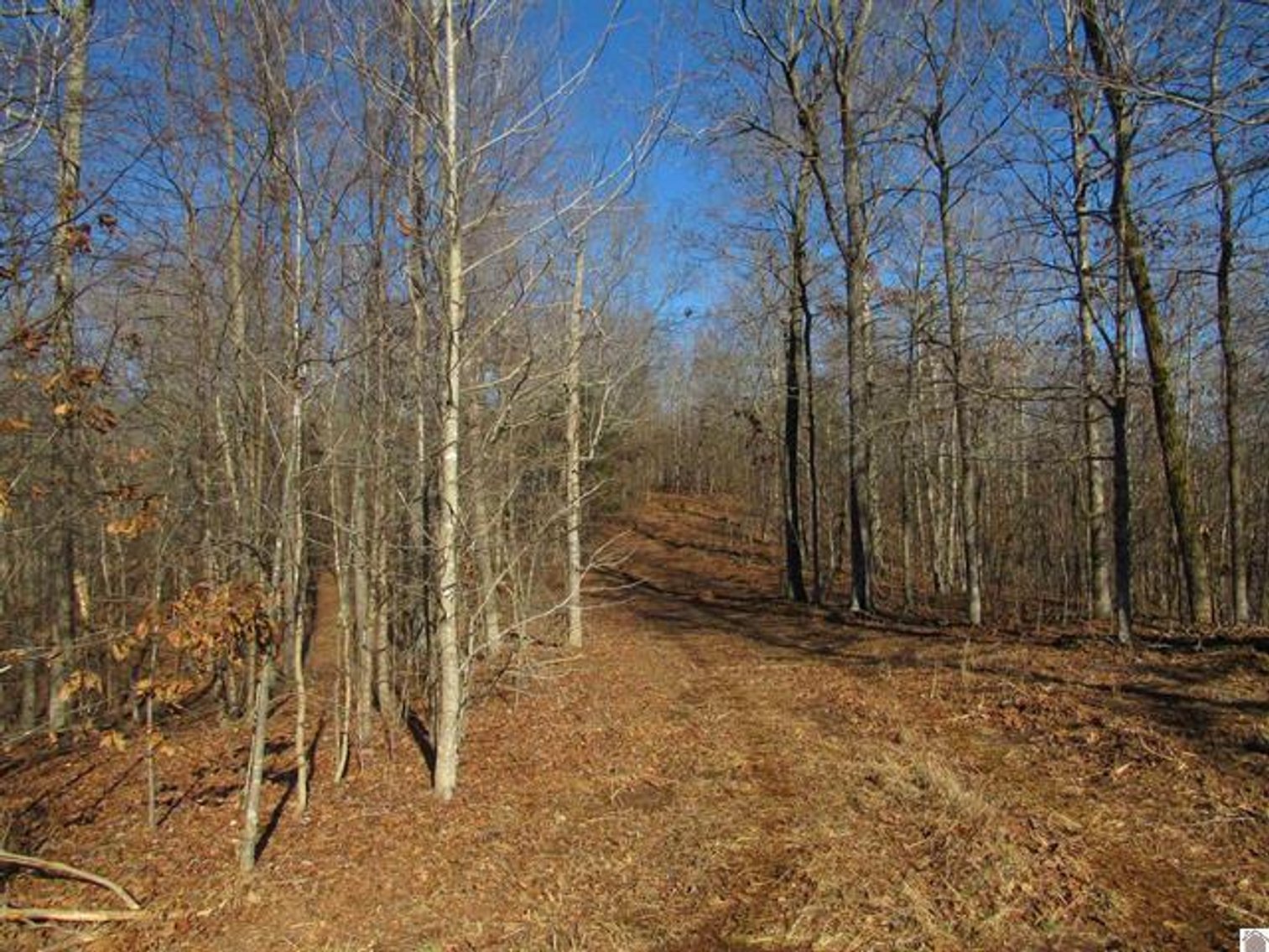 Image for 00 Cardwell Lane Cadiz, KY 42211