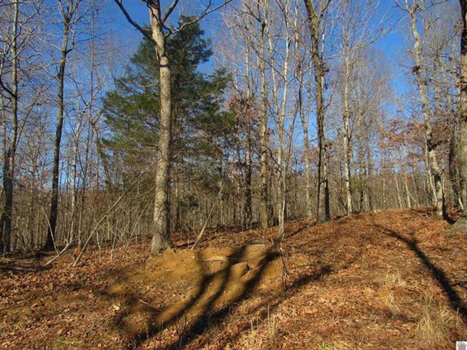 Image for 00 Cardwell Lane Cadiz, KY 42211