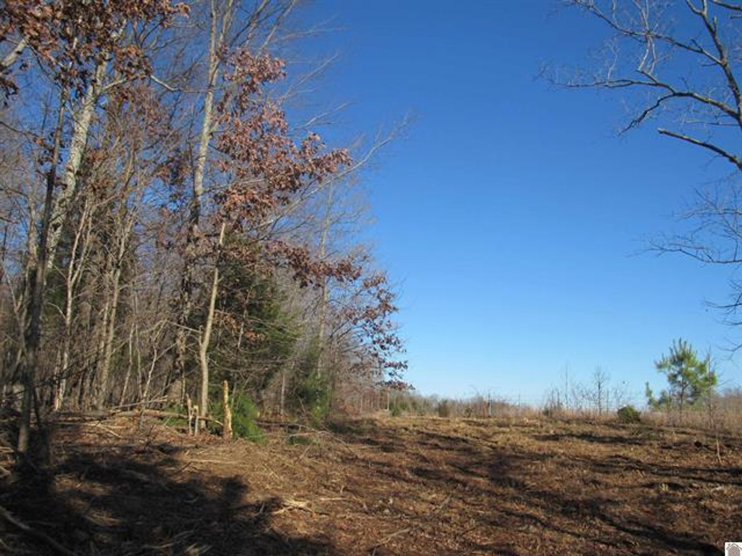 Image for 00 Cardwell Lane Cadiz, KY 42211
