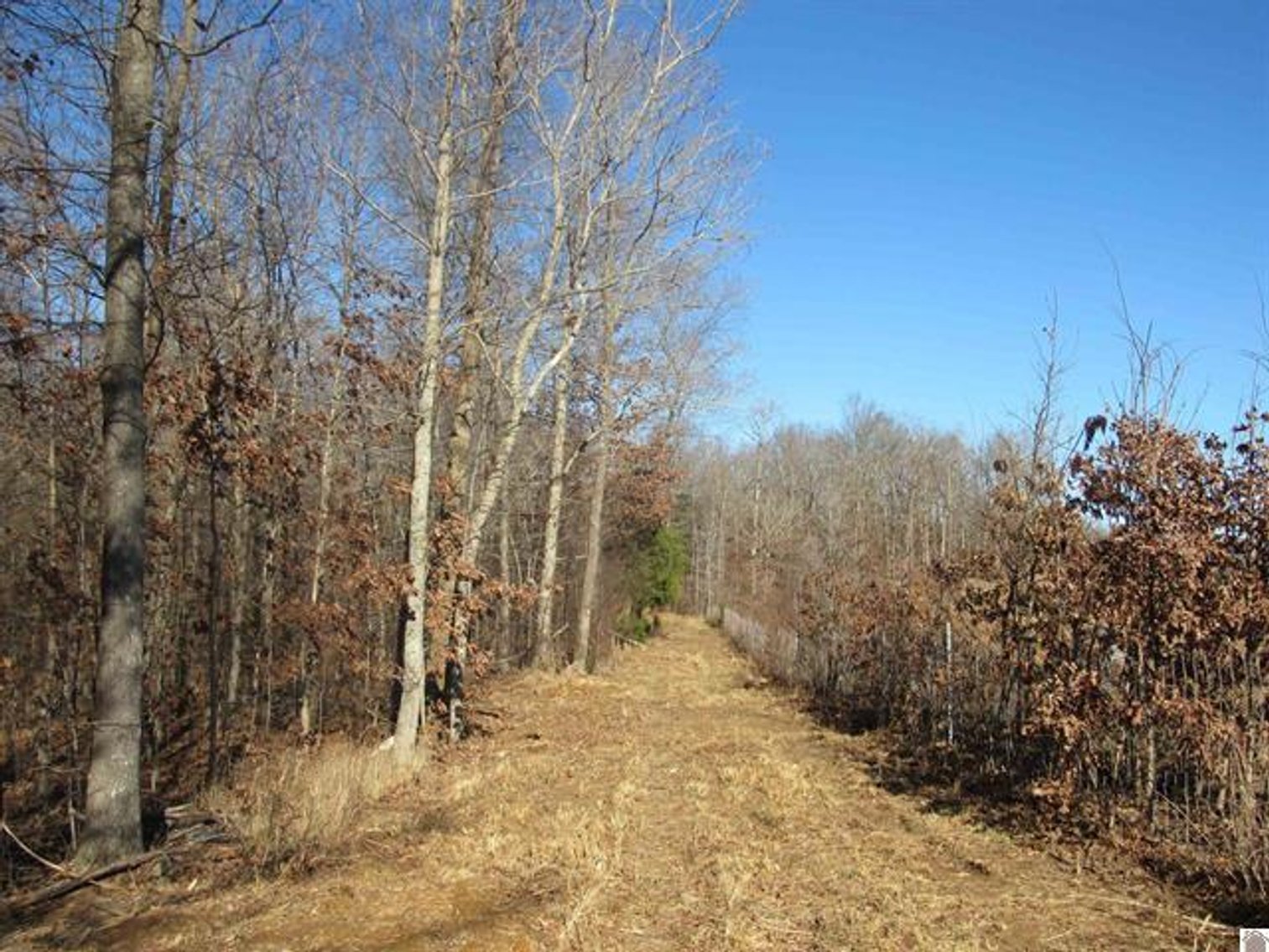 Image for 00 Cardwell Lane Cadiz, KY 42211