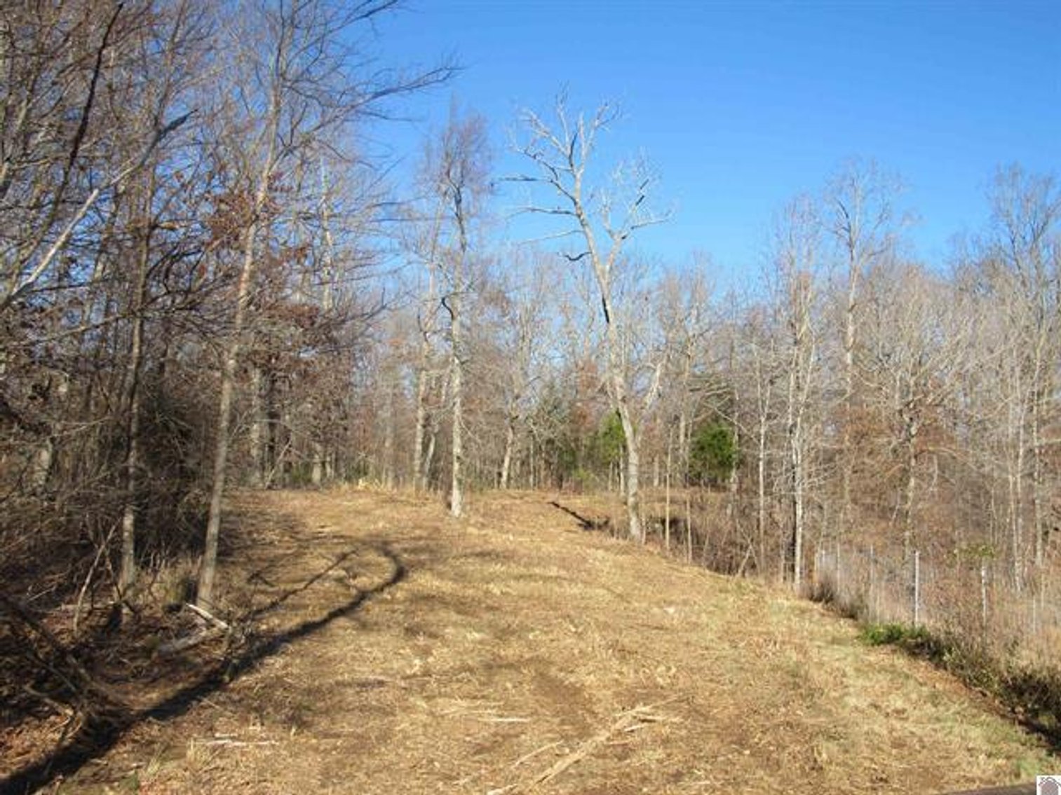 Image for 00 Cardwell Lane Cadiz, KY 42211
