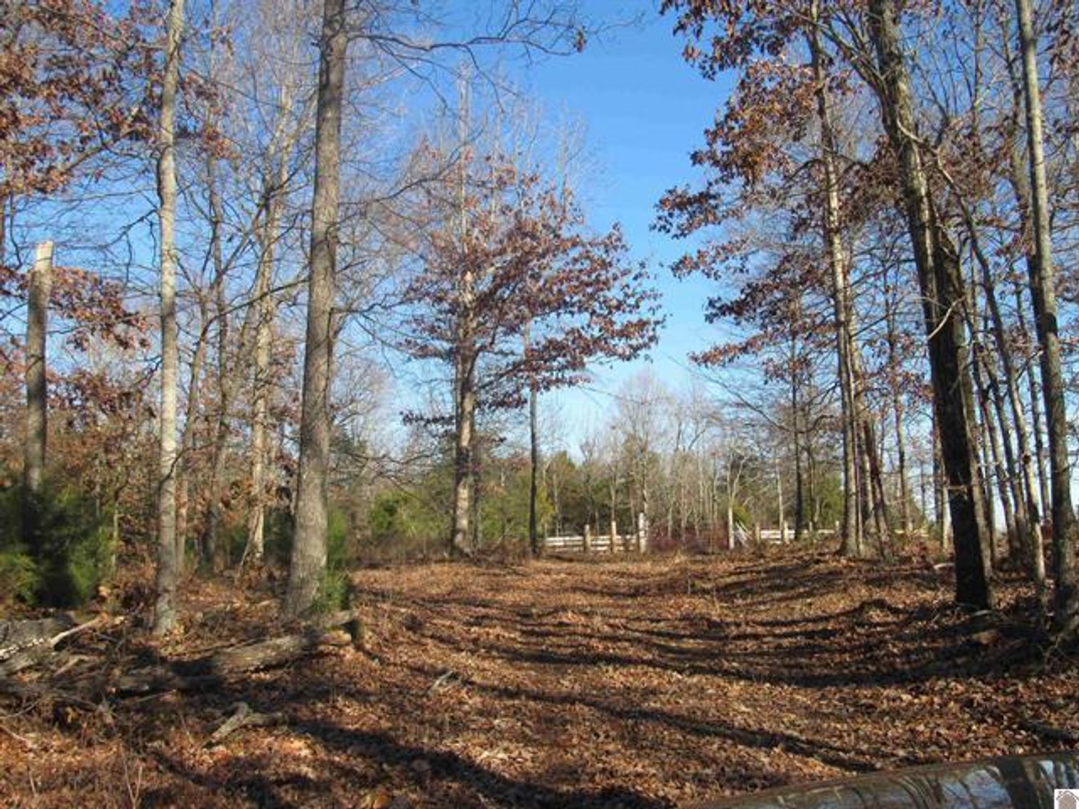 Image for 00 Cardwell Lane Cadiz, KY 42211