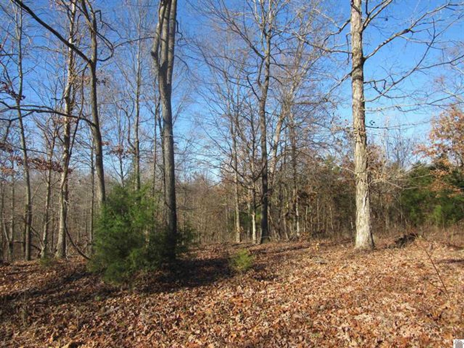 Image for 00 Cardwell Lane Cadiz, KY 42211