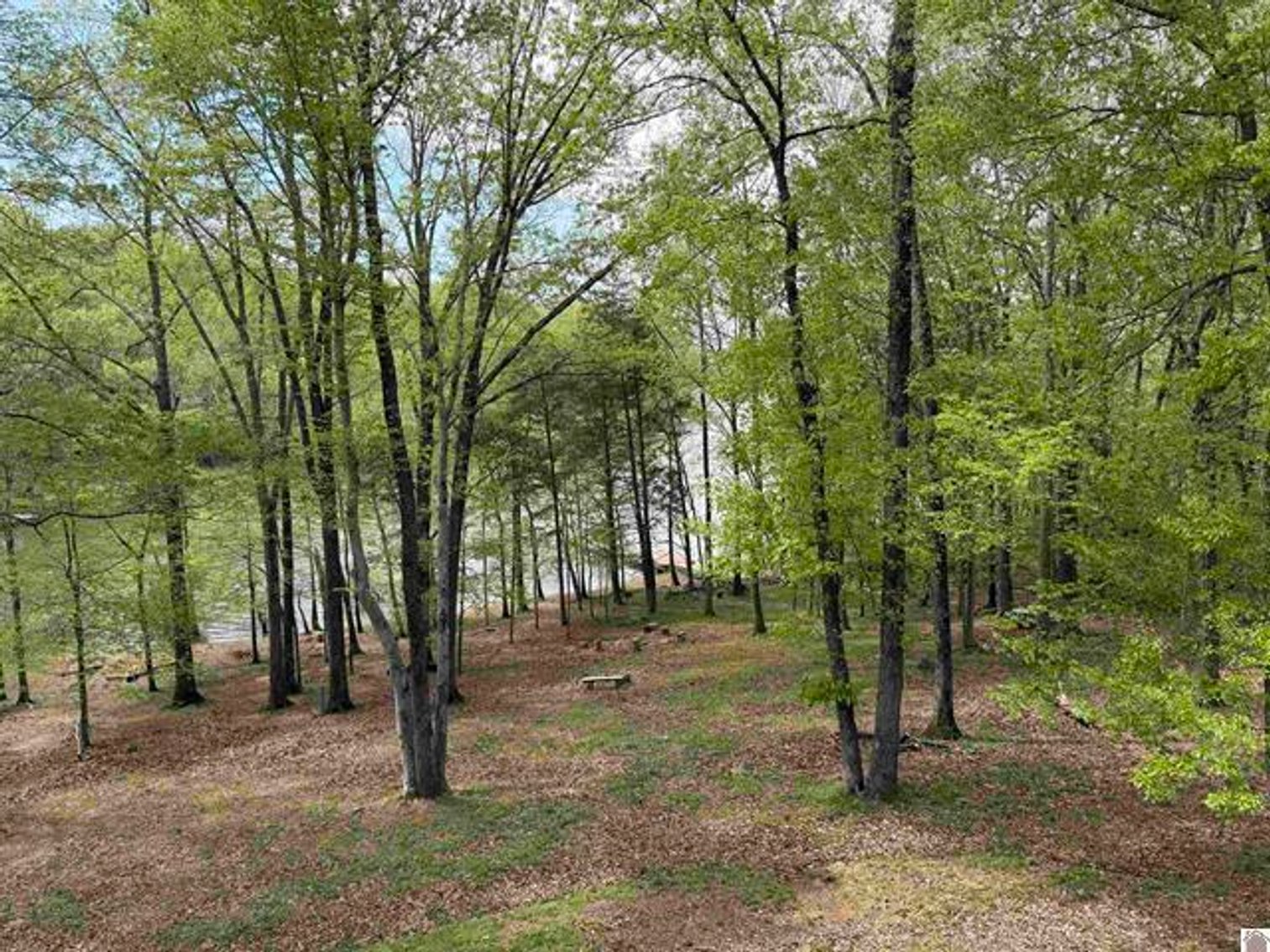 Image for 112 Lakeview Terrace Cadiz, KY 42211