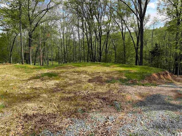 Image for Lot 8E Holiday Way Cadiz, KY 42211