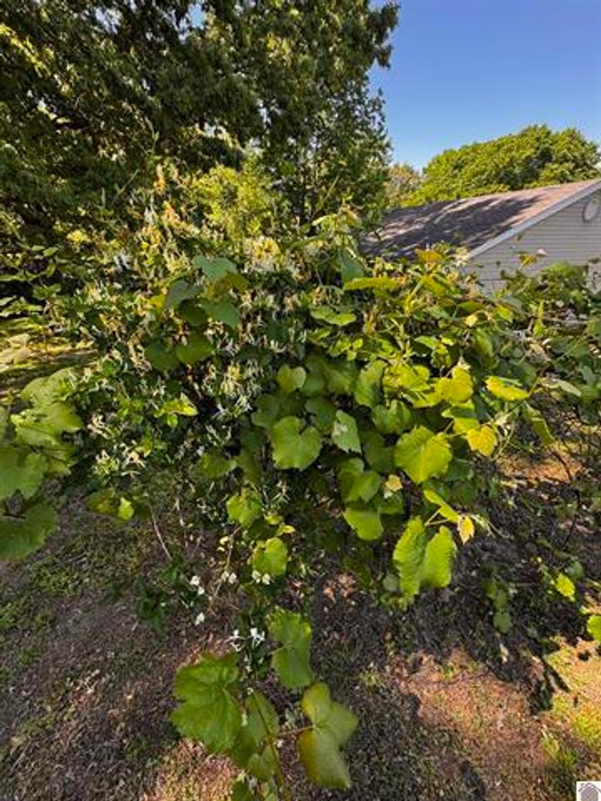 Image for 70 Cherokee ct. Cadiz, KY 42211