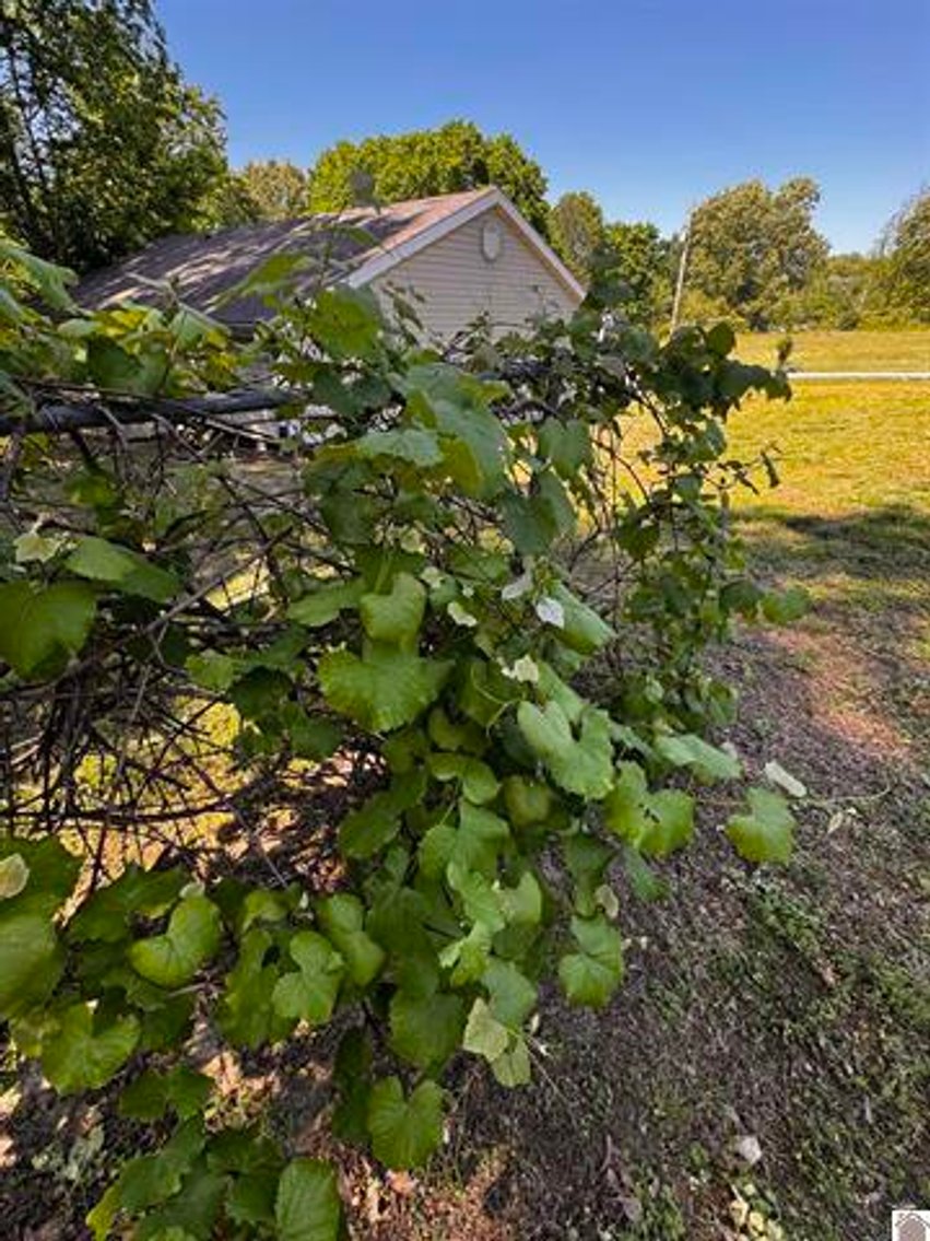 Image for 70 Cherokee ct. Cadiz, KY 42211
