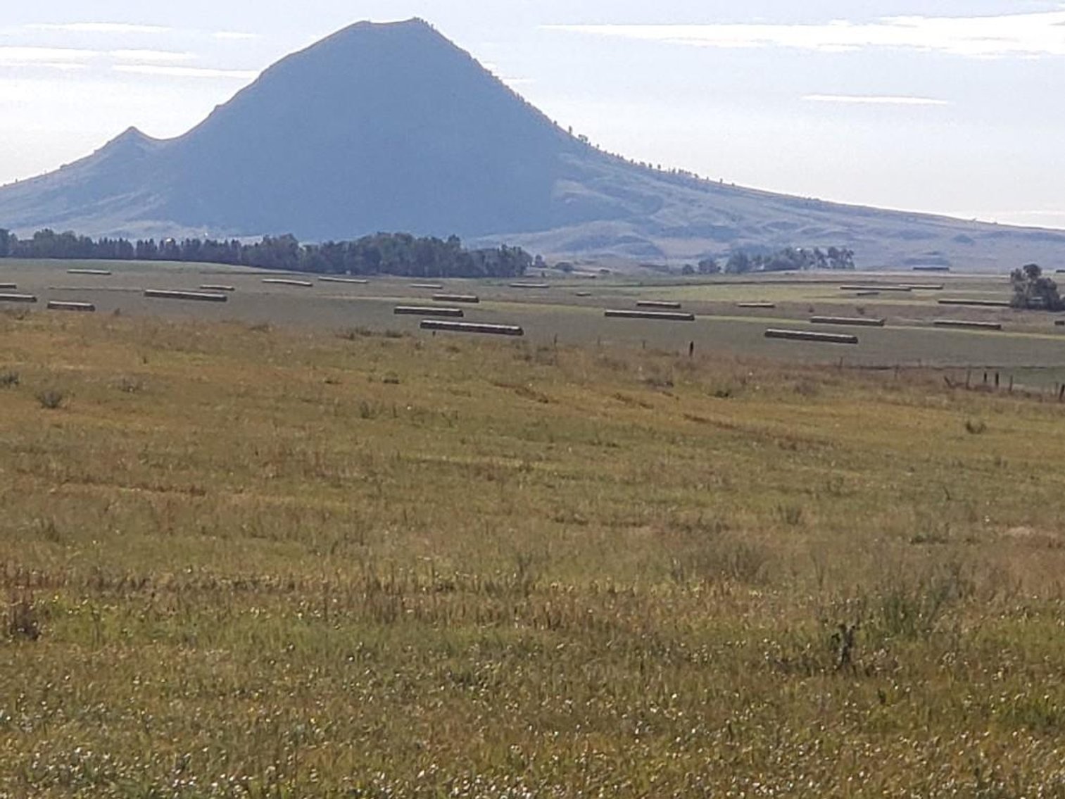 Image for Rural Sturgis Land Auction -Oct. 24th