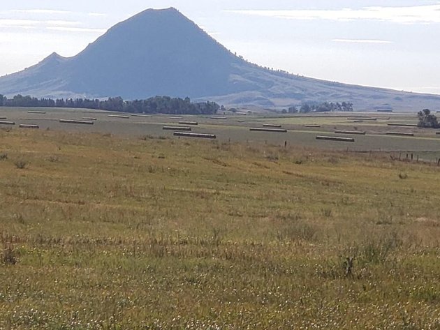 Image for Rural Sturgis Land Auction -Oct. 24th