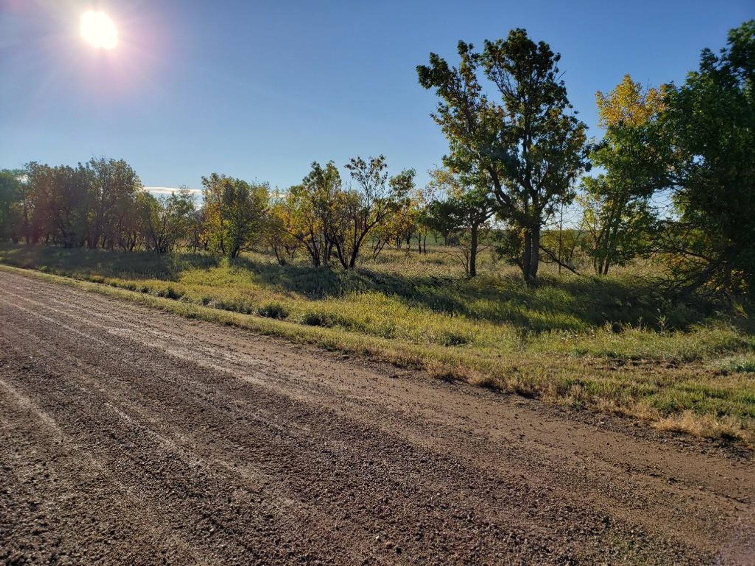 Image for Rural Sturgis Land Auction -Oct. 24th