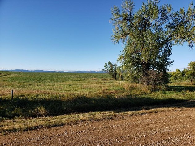 Image for Rural Sturgis Land Auction -Oct. 24th