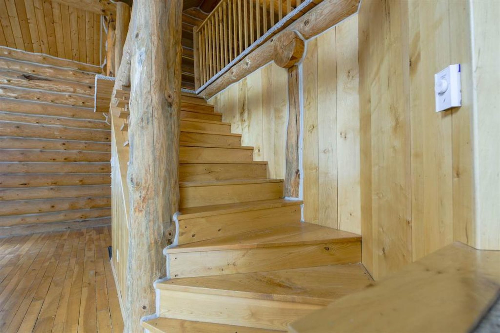 Image for SD Community Foundation Auction