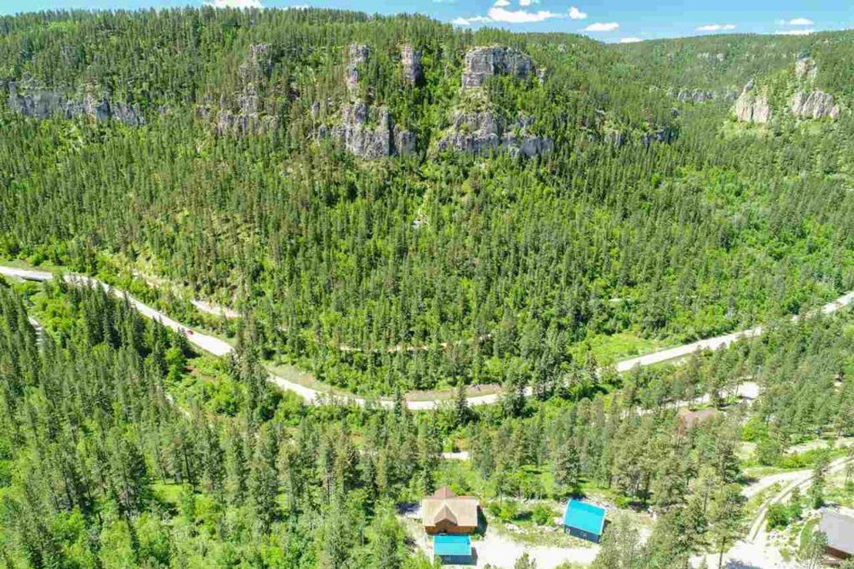 Image for SD Community Foundation Auction