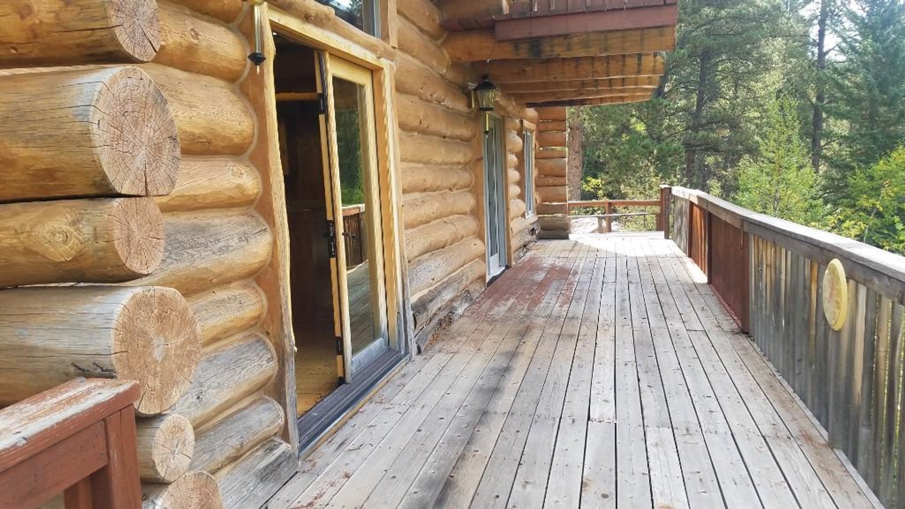 Image for SD Community Foundation Auction