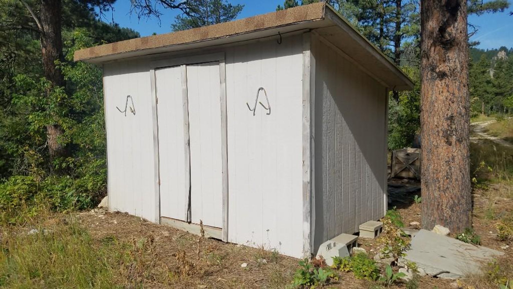 Image for SD Community Foundation Auction