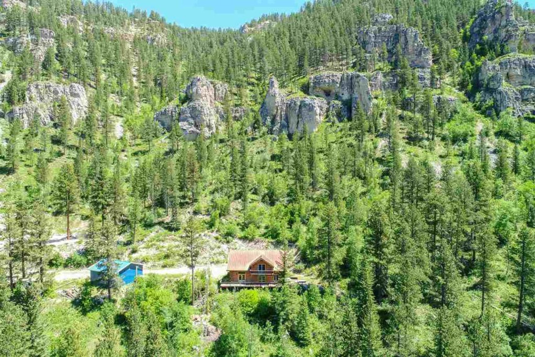 Image for SD Community Foundation Auction