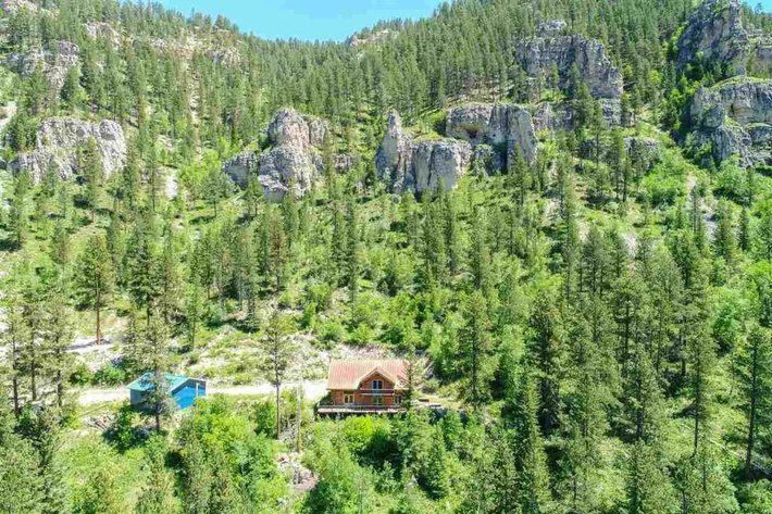 Image for SD Community Foundation Auction