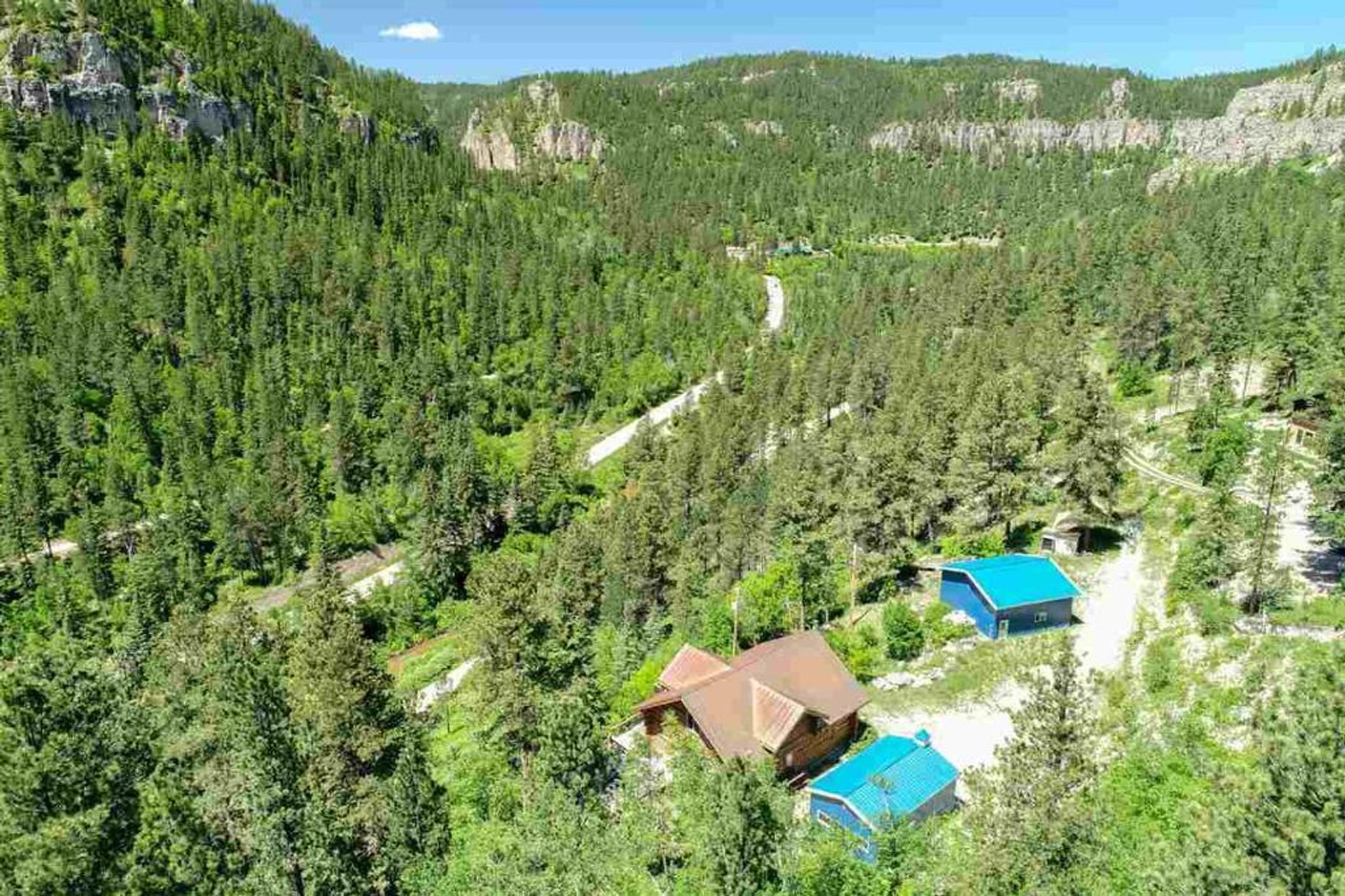 Image for SD Community Foundation Auction