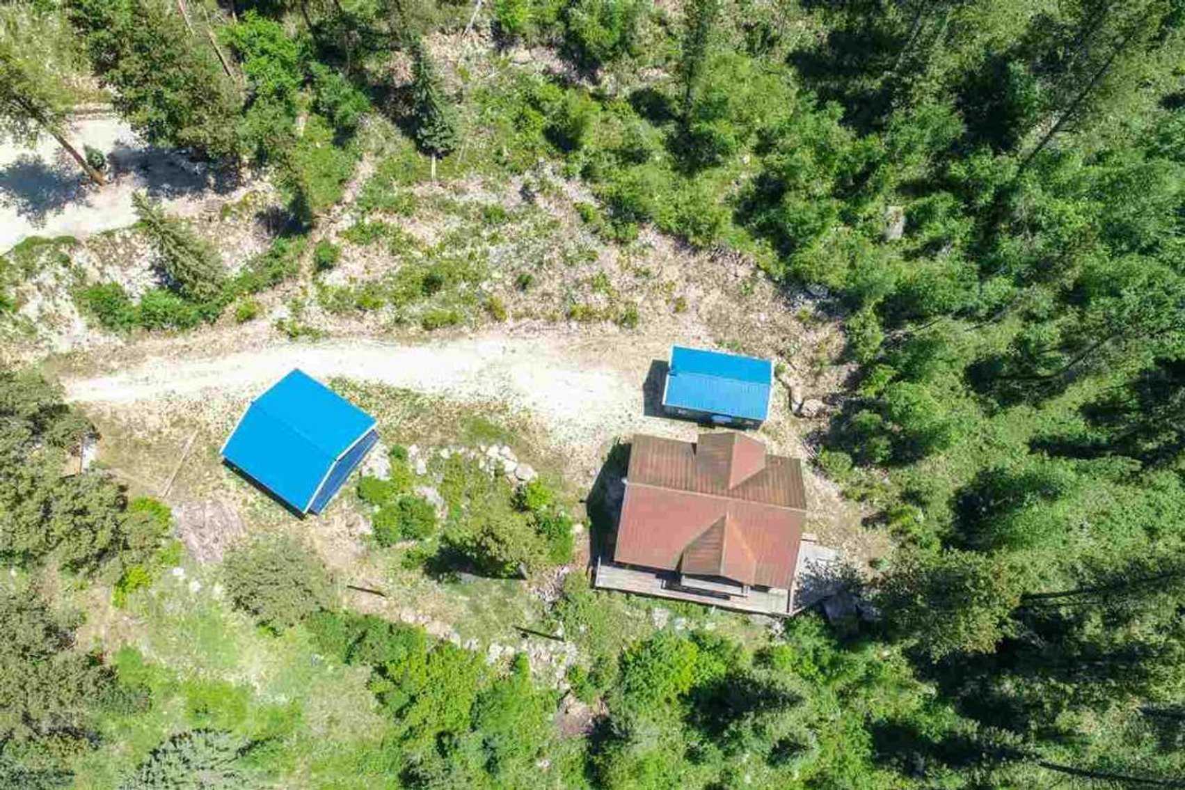 Image for SD Community Foundation Auction