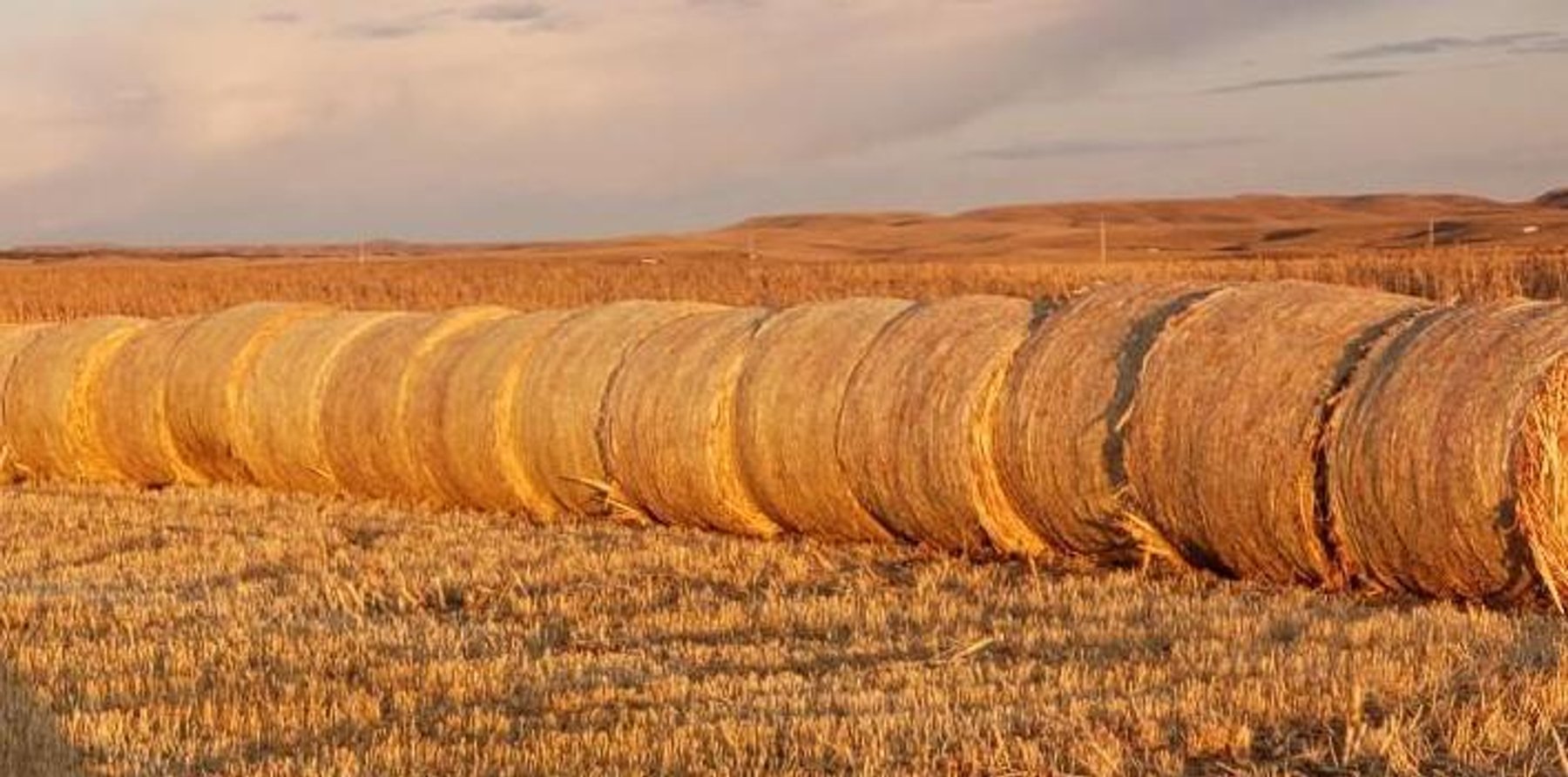 Image for Monthly Equipment -Nov 12th