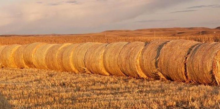 Image for Monthly Equipment -Nov 12th