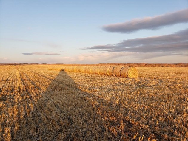 Image for Monthly Equipment -Nov 12th