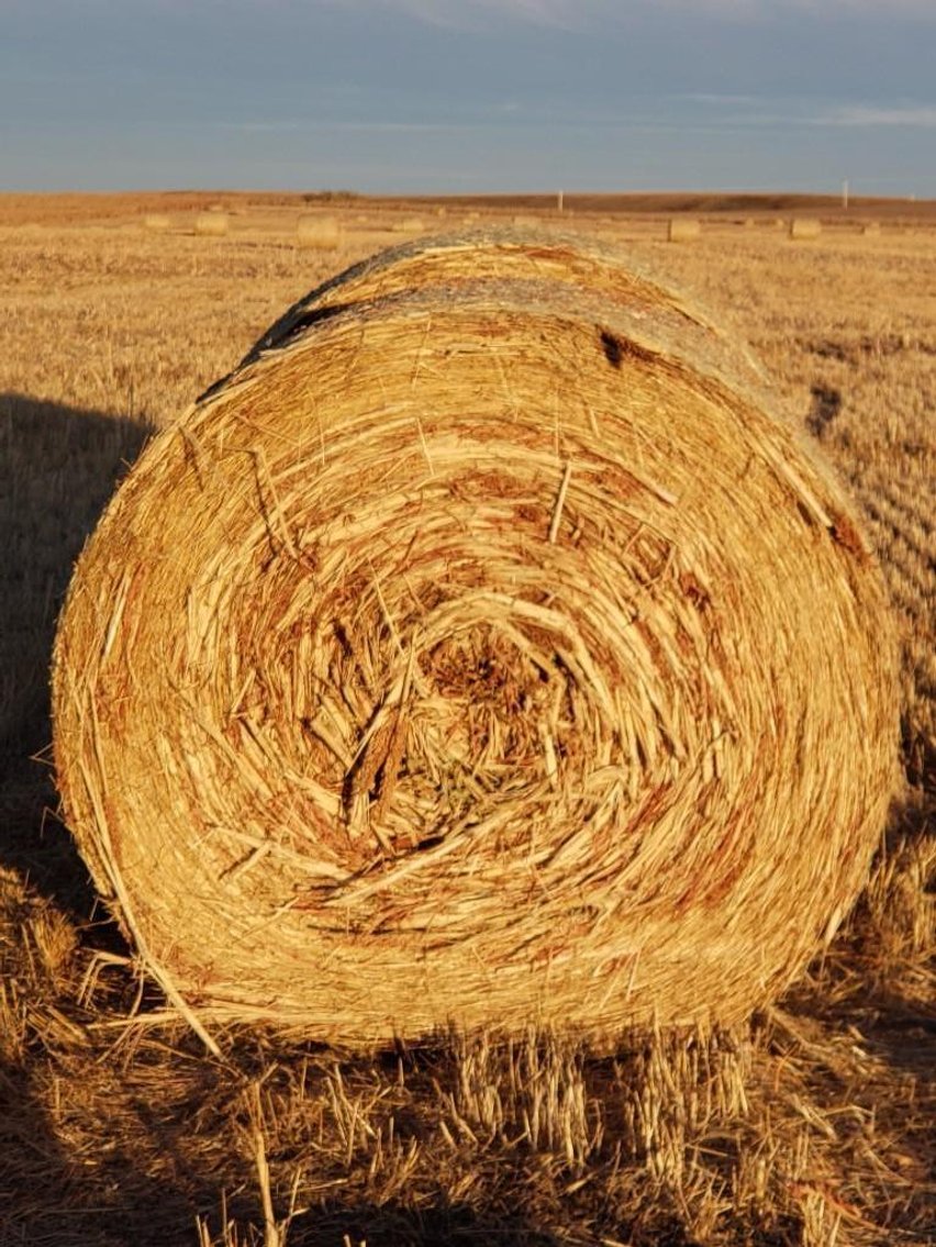 Image for Monthly Equipment -Dec 10th