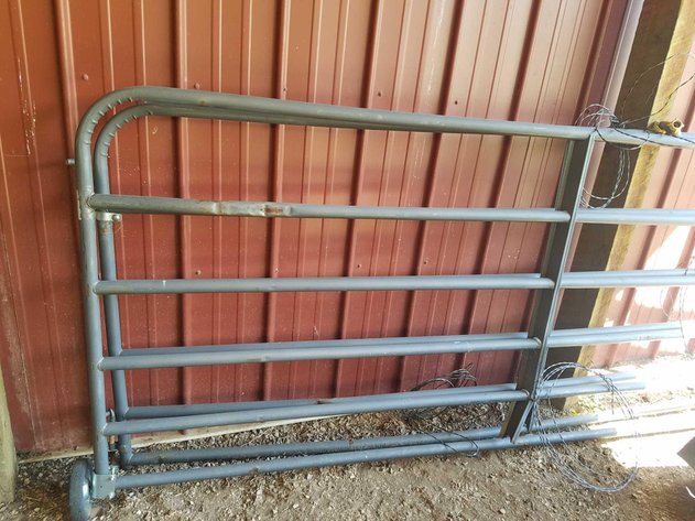 Image for Absolute Tuesday - Sept. 24th