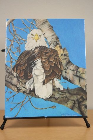 Image for Spearfish Foundation for Public Education