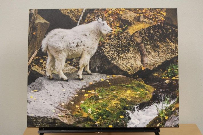 Image for Spearfish Foundation for Public Education