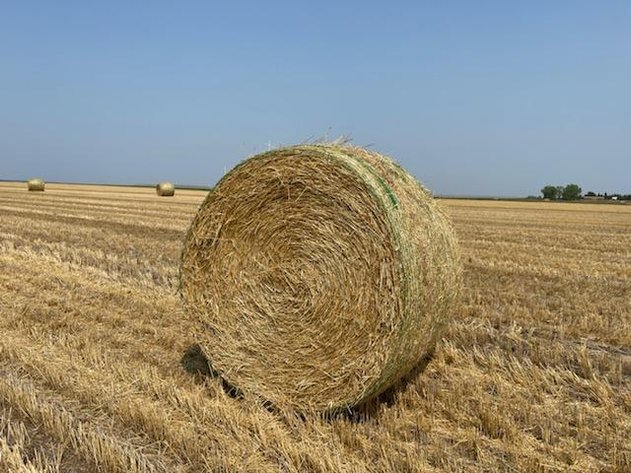 Image for Monthly Equipment - Aug. 10th