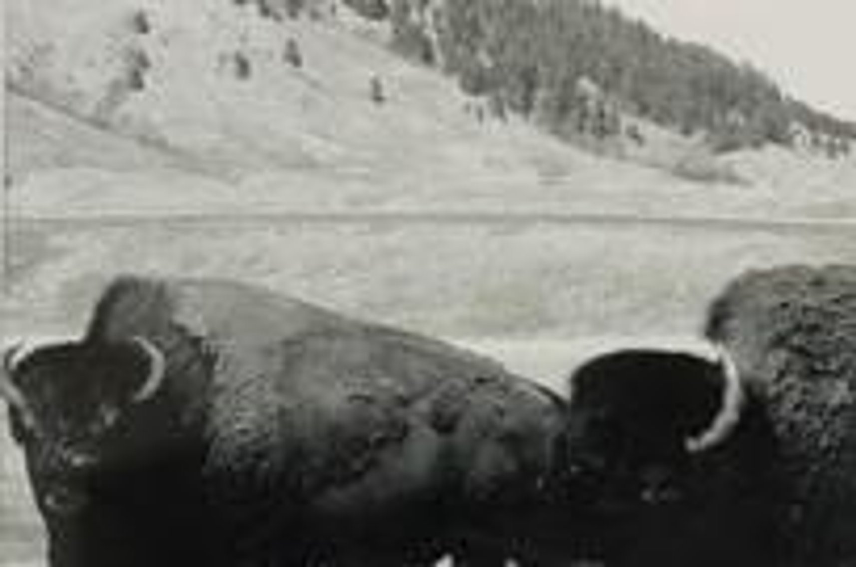 Image for Spearfish Foundation for Public Education Spring Art Auction