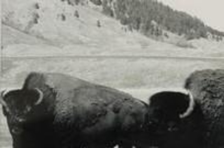 Image for Spearfish Foundation for Public Education Spring Art Auction