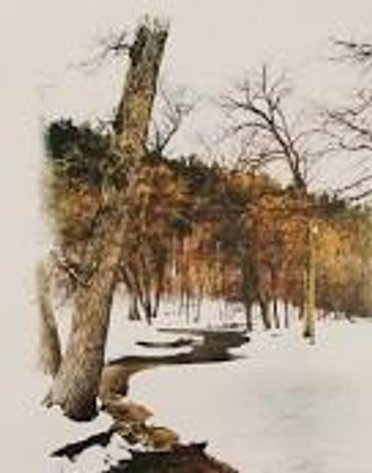 Image for Spearfish Foundation for Public Education Spring Art Auction