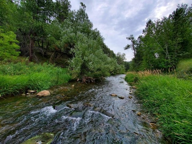 Image for Cole Whitewood Creek Land Auction - Sept. 26th