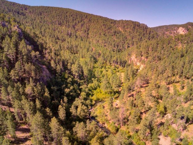 Image for Cole Whitewood Creek Land Auction - Sept. 26th