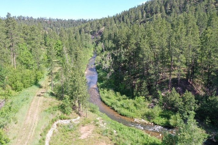 Image for Cole Whitewood Creek Land Auction - Sept. 26th