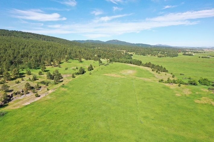 Image for Cole Whitewood Creek Land Auction - Sept. 26th